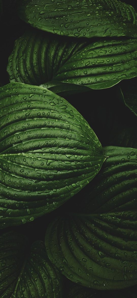 游戏测速 App 首页界面，深色背景中央显示当前节点延迟大号数字，下方是抖动与丢包两项指标和一根彩色柱状图，整体干净利落